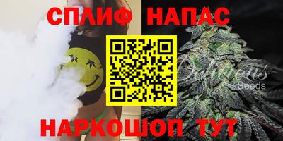 тгк Ставрополь